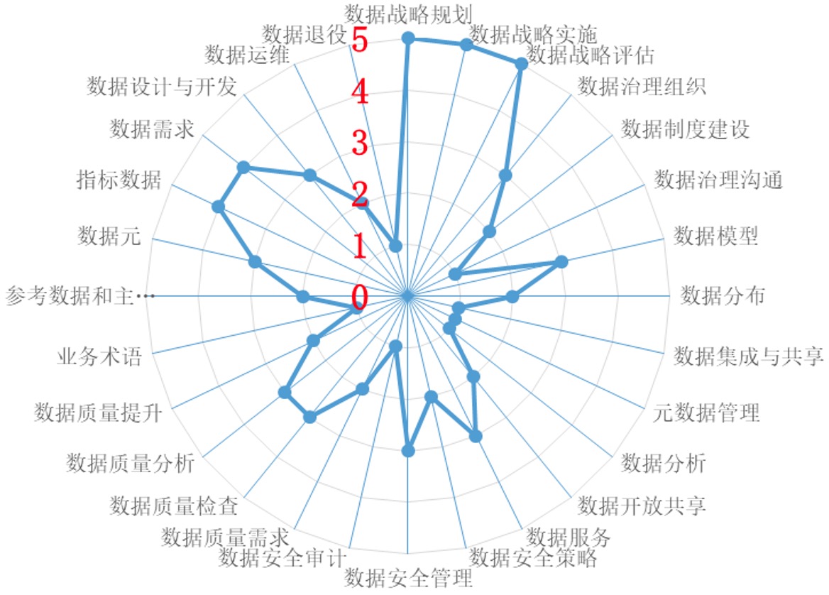 DCMM各能力项评分结果(样图).jpg